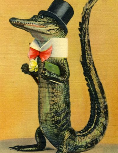Alligator with top hat and cigar