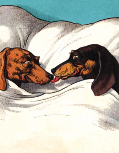 Dogs in Bed