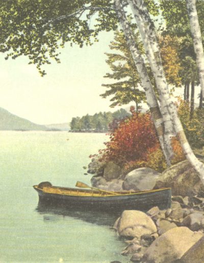 NH lake with birch trees